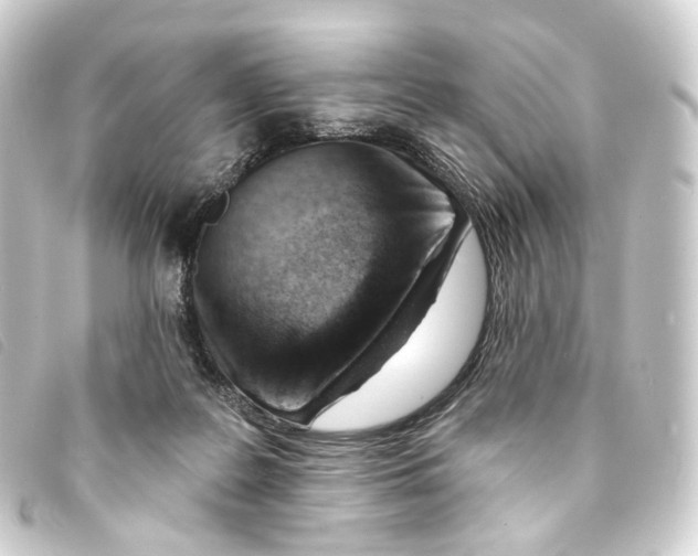 X0000093210219200710241203