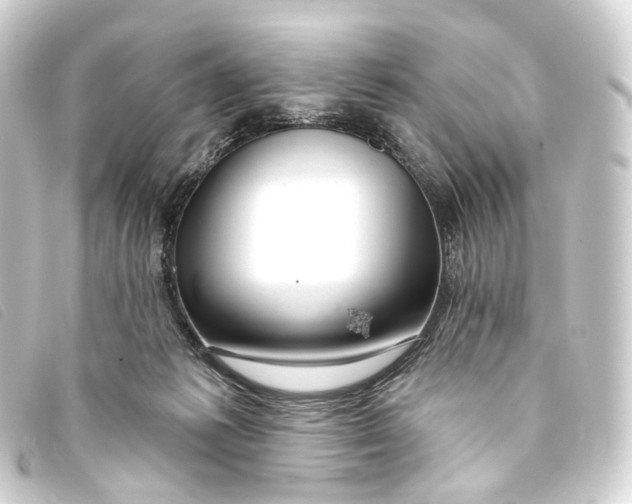 X0000093210221200710241203