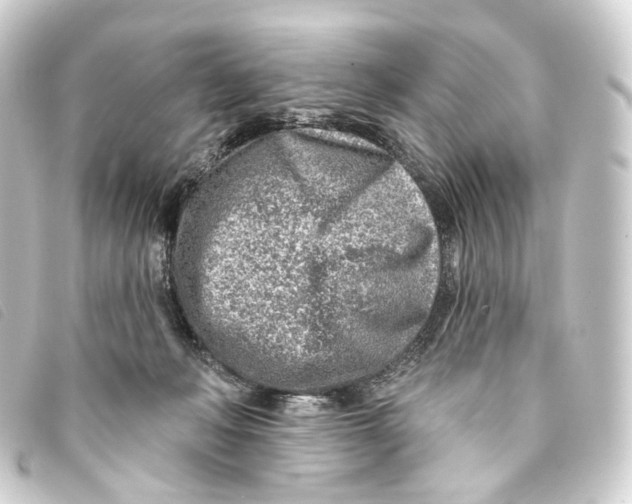 X0000093210222200710241203