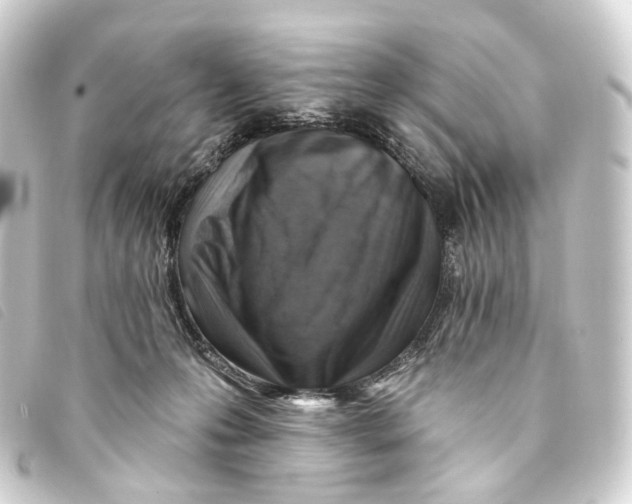 X0000093210223200710241203