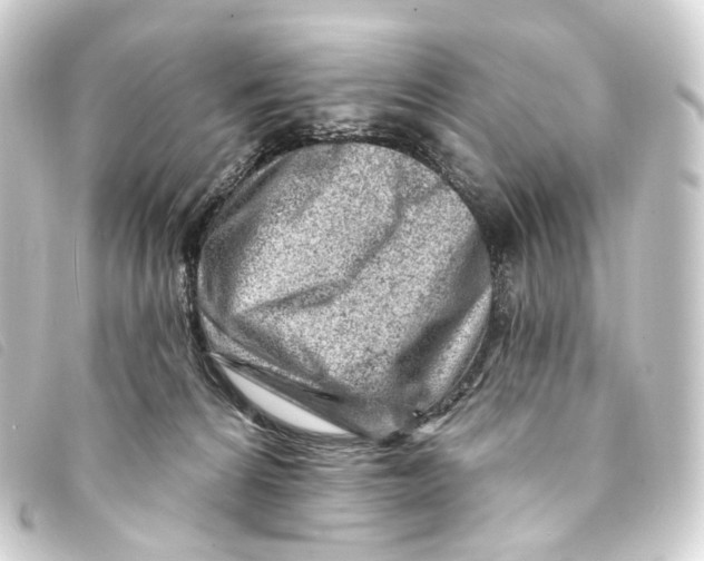 X0000093210224200710241203