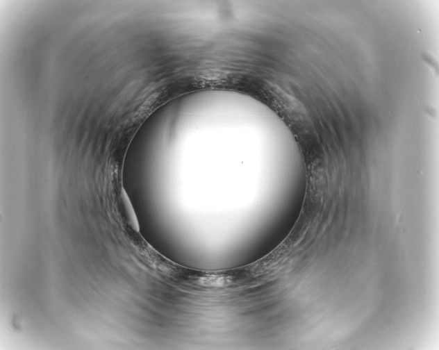 X0000093210225200710241203