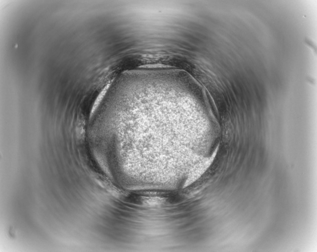 X0000093210226200710241203