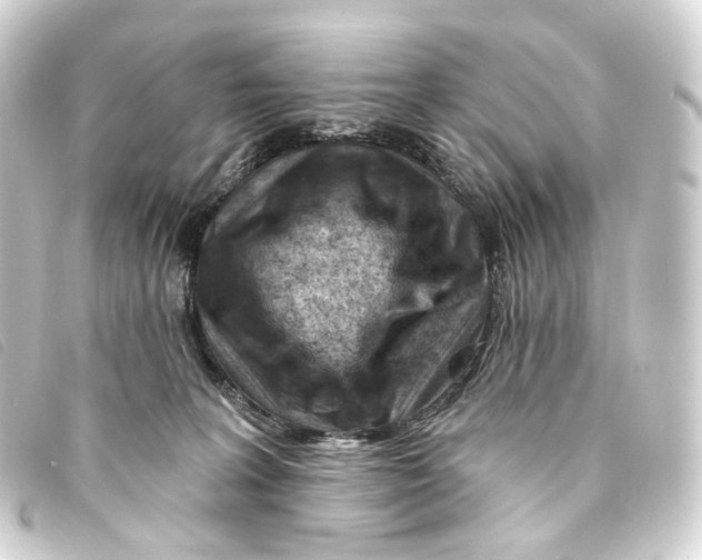 X0000093210227200710241203