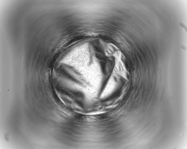 X0000093210229200710241203