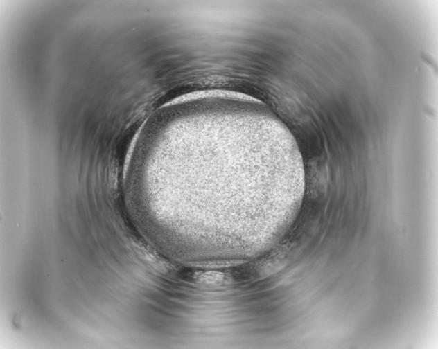 X0000093210230200710241203