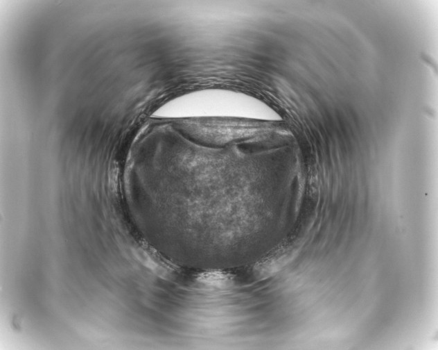 X0000093210231200710241203