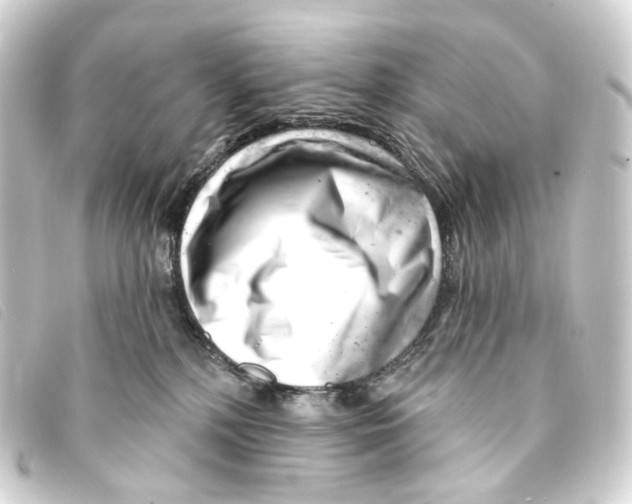 X0000093210232200710241203