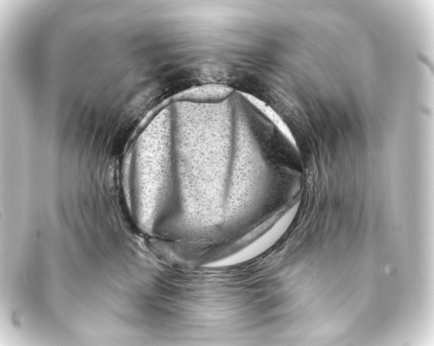 X0000093210233200710241203