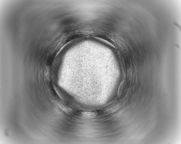X0000093210234200710241203