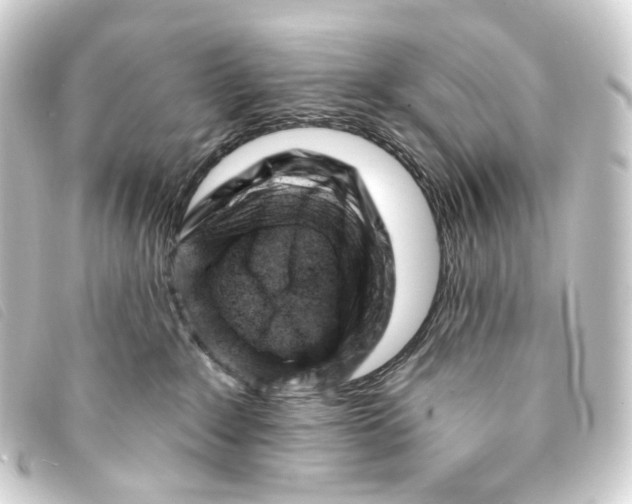 X0000093210235200710241203