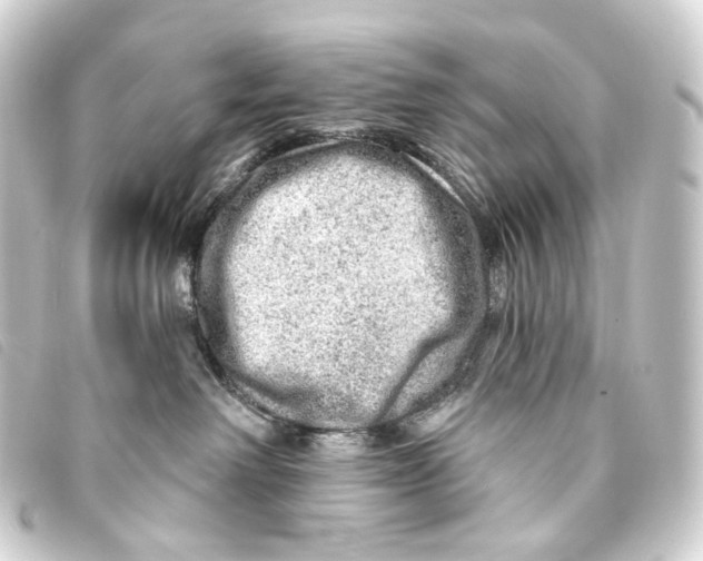 X0000093210238200710241203