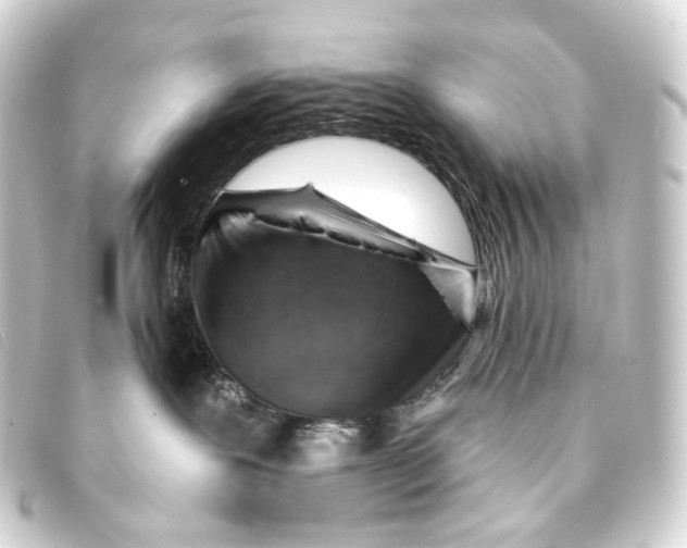 X0000093210239200710241203