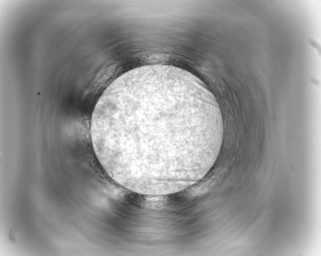 X0000093210240200710241203