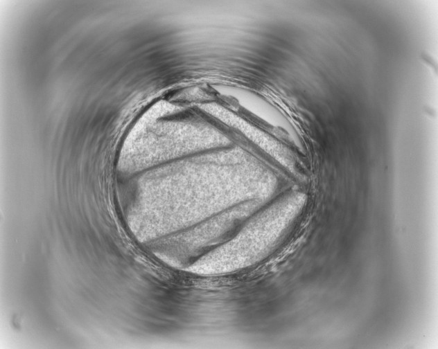 X0000093210241200710241203