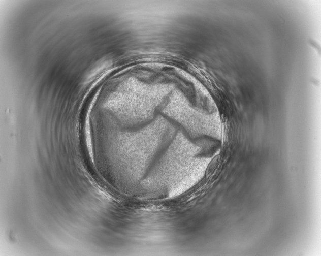 X0000093210243200710241203