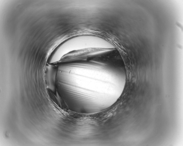 X0000093210244200710241203