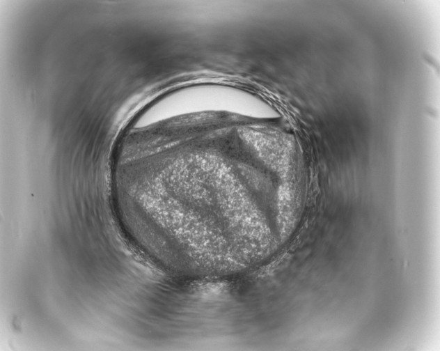 X0000093210247200710241203