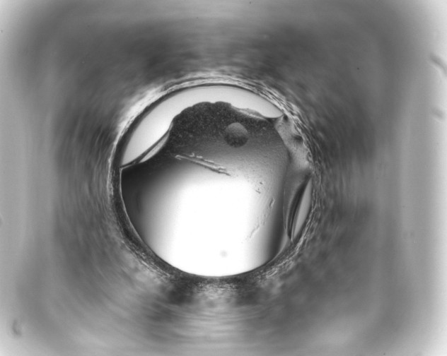 X0000093210248200710241203
