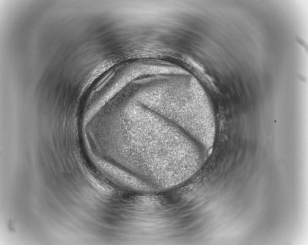 X0000093210250200710241203