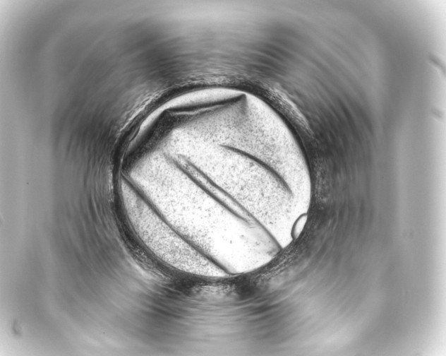 X0000093210251200710241203