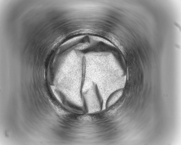 X0000093210253200710241203
