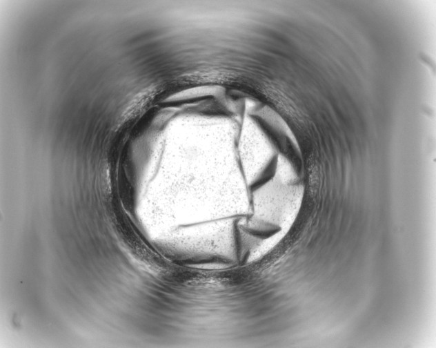 X0000093210254200710241203