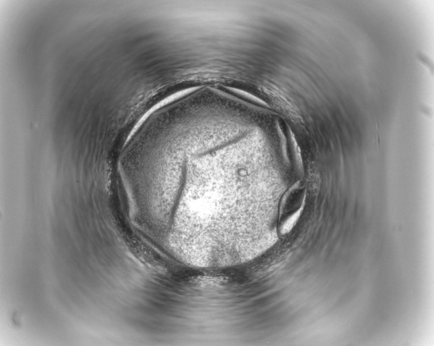 X0000093210255200710241203