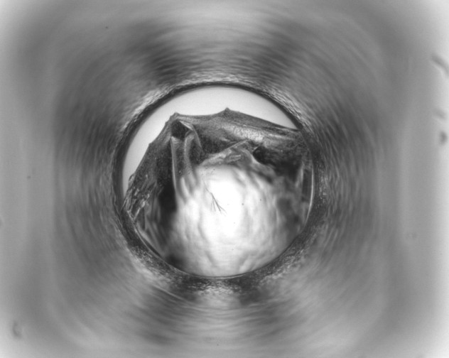 X0000093210256200710241203