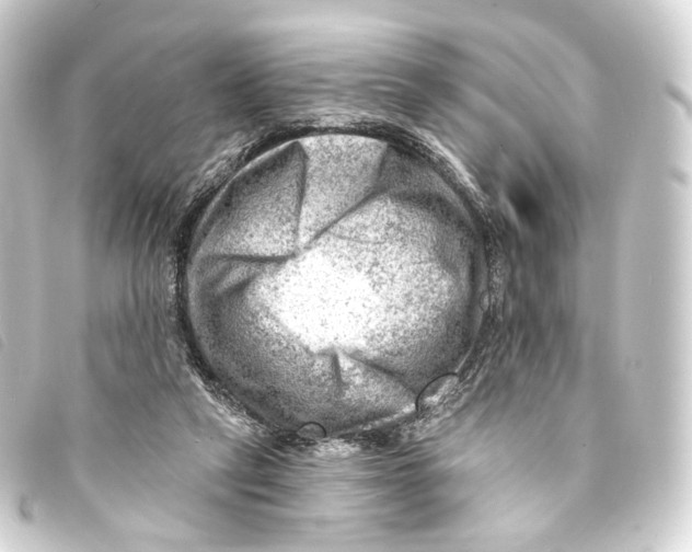X0000093210257200710241203