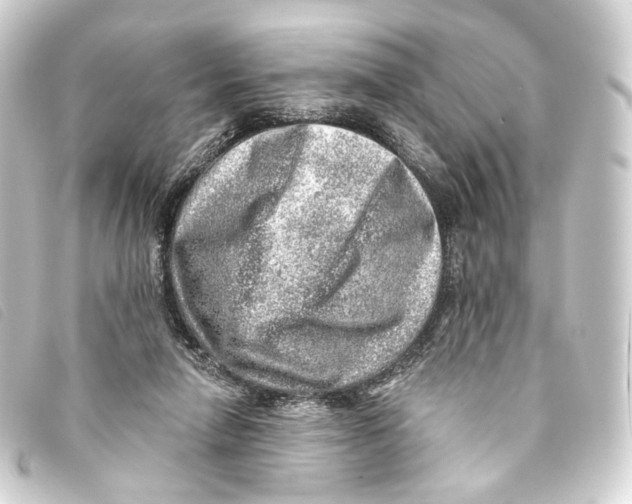 X0000093210258200710241203