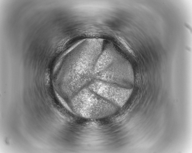 X0000093210259200710241203