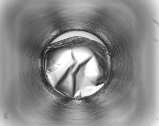 X0000093210260200710241203