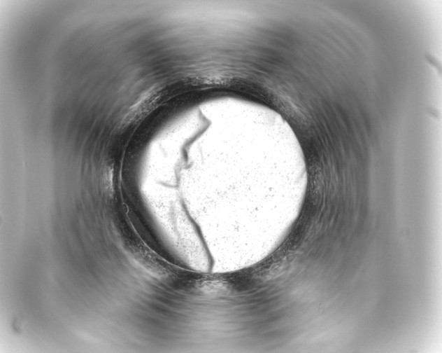X0000093210262200710241203