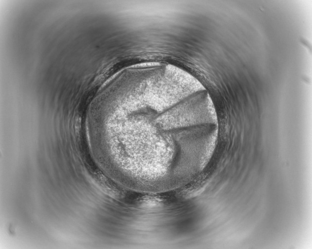 X0000093210263200710241203