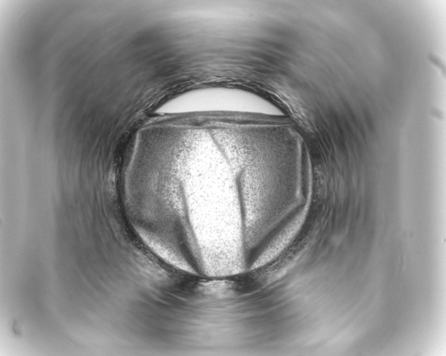 X0000093210269200710241203