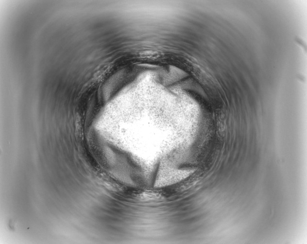 X0000093210270200710241203