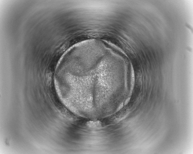 X0000093210271200710241203