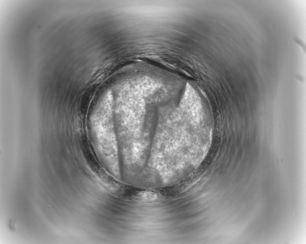 X0000093210272200710241203