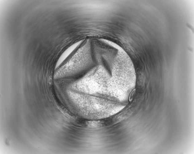 X0000093210273200710241203