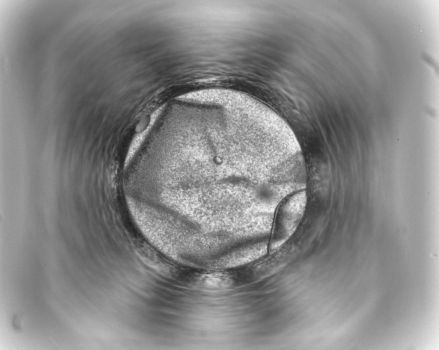 X0000093210275200710241203