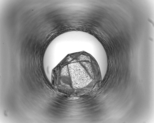 X0000093210276200710241203