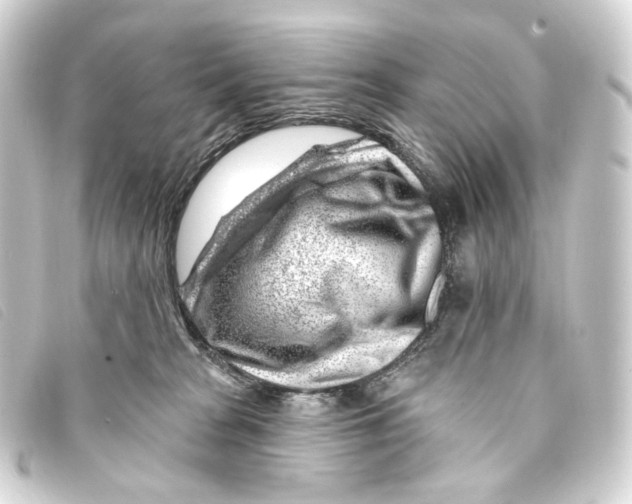 X0000093210277200710241203