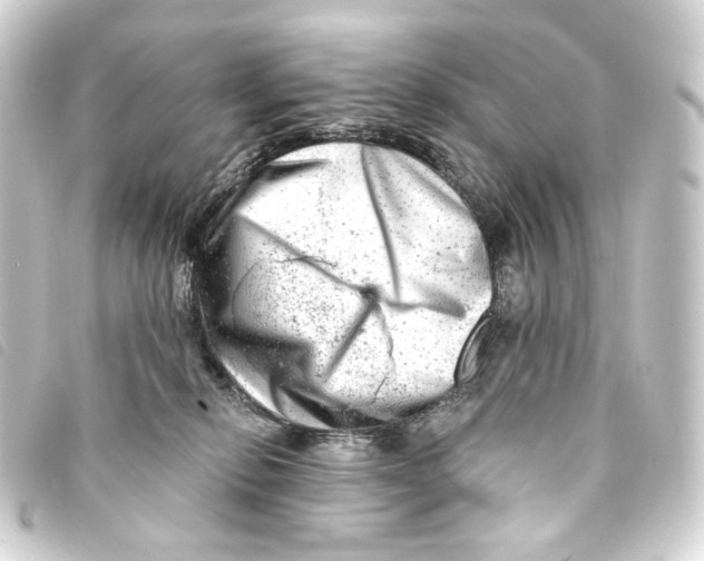 X0000093210278200710241203