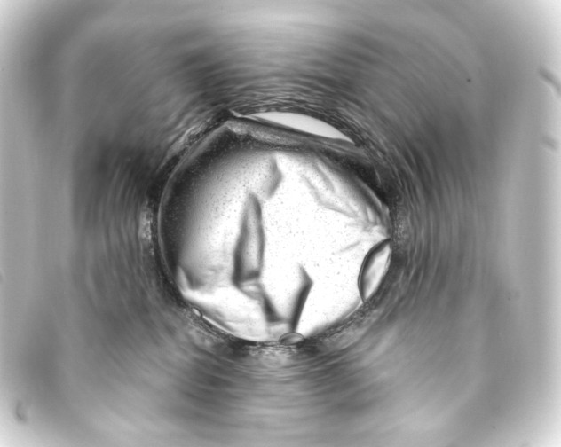 X0000093210282200710241203