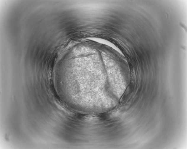 X0000093210284200710241203