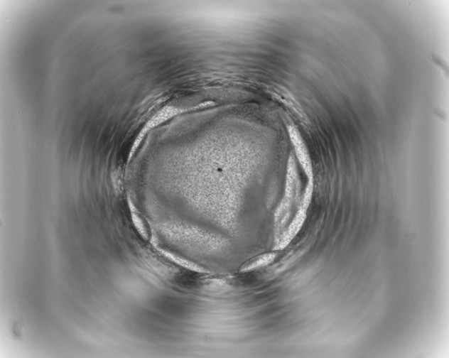 X0000093210285200710241203
