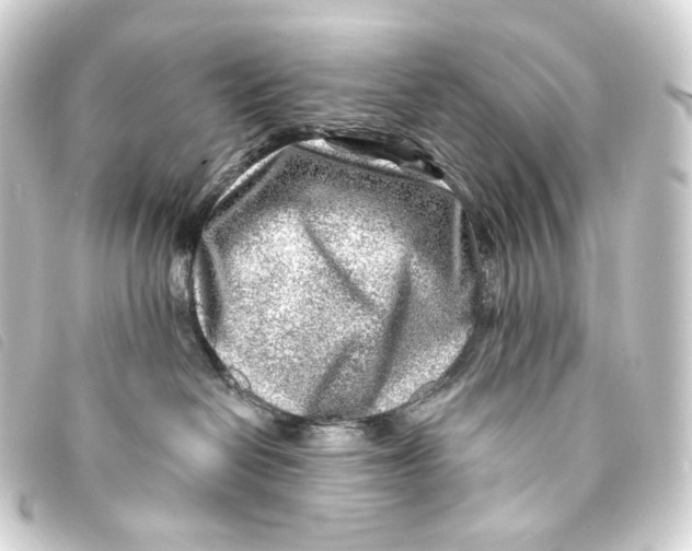 X0000093210286200710241203