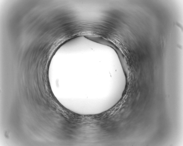 X0000093210289200710241202