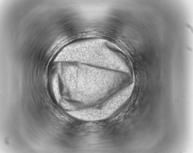 X0000093210290200710241202